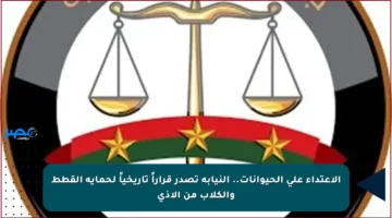 الاعتداء على الحيوانات.. النيابة تصدر قراراً تاريخياً لحماية القطط والكلاب من الأذى